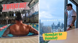 Half Ironman Training  Melbourne 703  EP10  Full Week of Training [upl. by Nahtnaoj808]