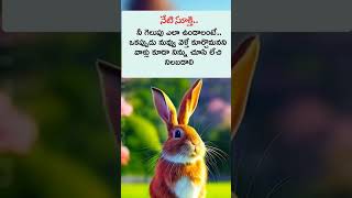 Motivational quotes in Telugu  winning Quotes  Life Quotes  Sukthulu  Attitude Quotes  shorts [upl. by Etnoid]