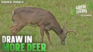 Draw More Deer to Your Property [upl. by Fagen]