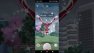 I got Shiny Yveltal in Pokemon go From Raids  Pokemon go Raids June 2024 pokemongo shorts raid [upl. by Leigh]