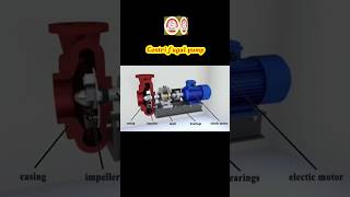 Centrifugal pump ⛽ dri ।। how Centrifugal Pump works animation pump animation shorts [upl. by Stephie]