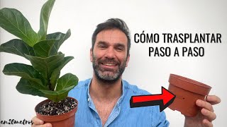 Guía PASO A PASO para TRASPLANTAR PLANTAS DE INTERIOR  en20metros [upl. by Yadnus]