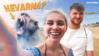 Paradiž na Tajskem in  NAPADALNE OPICE😠🐒l Ema Jagrič Vlog [upl. by Jefferson]