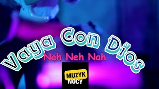 Nah Neh Nahcover  Vaya Con Dios [upl. by Auria]