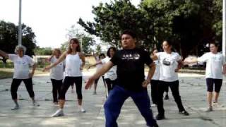 Tai chi chuan  Movimento do Tigre [upl. by Annaer]