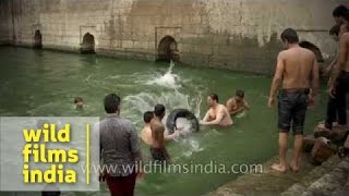 Ancient Nizamuddin Baoli now a swimming pool for local lads [upl. by Neellok]