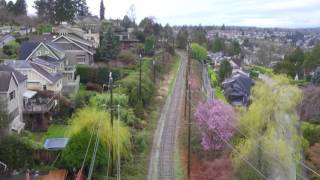 Arbutus Greenway [upl. by Wittie]