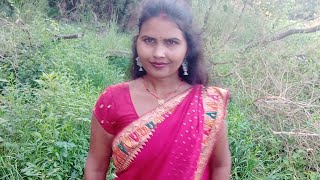 sonali Nishad Rk🌹 is live [upl. by Ibot255]