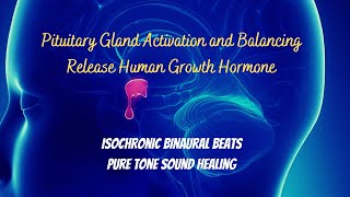 Pituitary Gland Activation and Balancing  Isochronic Binaural Beats  Release Human Growth Hormone [upl. by Ahsia]