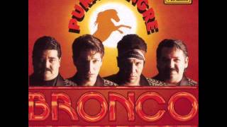 Bronco pura sangre Remix Mr sony [upl. by Cira80]