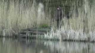 Carp Fishing  Free Spirit Lee Jackson Overnighters [upl. by Netsruk]