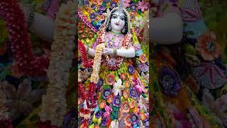 Joy radhe radhe krishna govind bolo re 🌸radheradhe🙏radhastatusyoutubeshorts [upl. by Grekin]