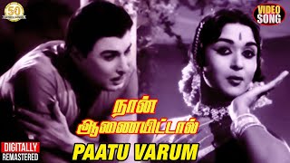 Naan Aanaiyittal Movie Songs  Paatu Varum Video Song  MGR  Saroja Devi  MSV  TMS  P Susheela [upl. by Netneuq]