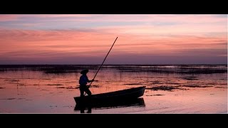 los hermanos cuestas los sonidos de mi tierra y nestor cuestas chamarrita pal amor [upl. by Ivie]