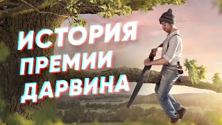 Краткая история ПРЕМИИ ДАРВИНА [upl. by Birchard]