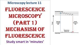 Fluorescence microscopy  Part 1  Mechanism of fluorescence  Microscopy lecture 11 [upl. by Lennaj655]