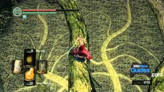 Dark Souls Walkthrough  The Great Hollow amp To Ash Lake Part 054  WikiGameGuides [upl. by Harberd]