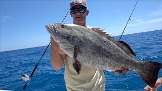 The KING of the REEF Catch Clean Cook Black Grouper Florida Keys Fishing [upl. by Kimberly100]