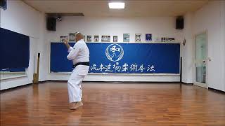 Pinan Shodan  Wado Ryu 1st Pinan Kata  Wado Ryu Hon Dojo  Karate video [upl. by Rihat]