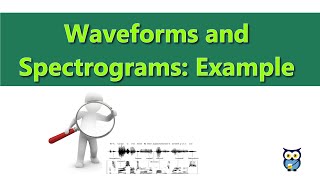 Waveforms and Spectrograms Example [upl. by Nibram]