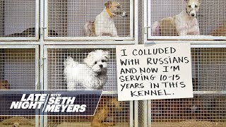 Extreme Dog Shaming Russian Collusion Pooping Twice [upl. by Chinua]