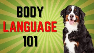 How to Understand Your Dog Better Dog Body Language 101 [upl. by Navillus]