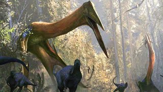 The Largest Animal To Ever Fly Wasnt Quetzalcoatlus [upl. by Karil]