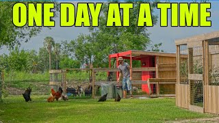 So Much To Do  DIY Tiny House Build  South Texas Living [upl. by Merriam]