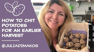 How to Chit Potatoes for an Earlier Harvest [upl. by Alene]