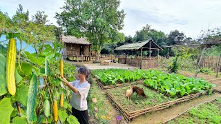 Full Video 75 Days of farm life Gardening Farming Cooking Animal Care  Sơn Thôn [upl. by Gasper134]