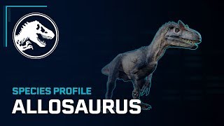 Species Profile  Allosaurus [upl. by Clemente]