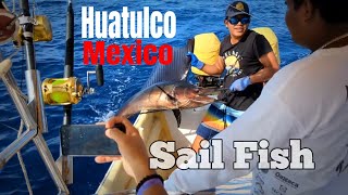 Amazing Seafood and catch and cook Sailfish in Huatulco Mexico Vacation in Mexico review [upl. by Reinnej]