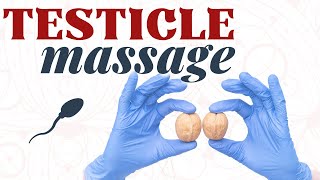 Testicle Massage  Improve Sperm Production and Hormones [upl. by Nagaet]