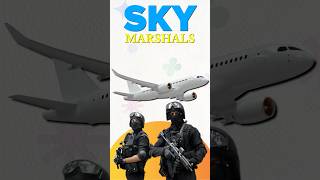 Who Are the Sky Marshals ✈️🛡️ Discover the Guardians of the Skies [upl. by Kev505]