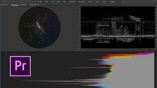 Using Lumetri Color to Fix Underexposed Video [upl. by Capello]