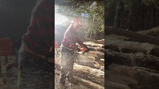 New Chainsaw Pants Pfanner Gladiator firewood pfannercanada stihl [upl. by Bengt]