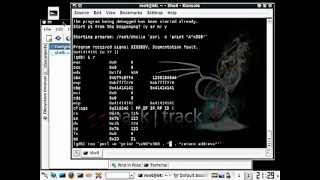 Buffer Overflow Tutorial Paso a Paso [upl. by Sug88]