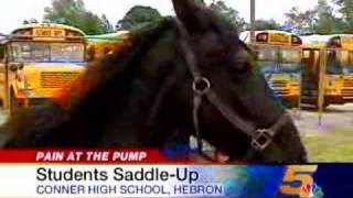 Students Riding Horses to School [upl. by Sibbie]