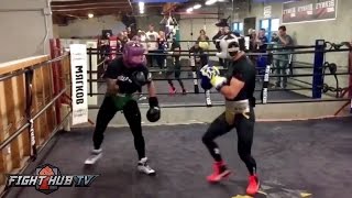 TJ Dillashaw vs Vasyl Lomachenko  BOTH GO AT IT IN MMA VS BOXING HEATED SPARRING [upl. by Ahsekahs403]