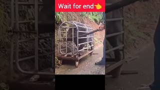 Wait for end Next me 🤣🤣😅😅 viralvideo end comedy funnyvideo youtubeshorts [upl. by Bab]