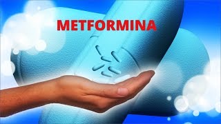 Metformina  Cloridrato de Metformina X Diabetes Tipo 2 [upl. by Isbella125]