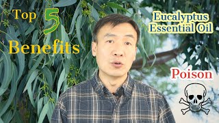 Eucalyptus Uses Top 5 Benefits of Eucalyptus Essential Oil Side Effects of Eucalyptus Oil [upl. by Nale]