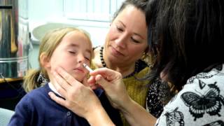 Primary school flu vaccine [upl. by Codie]