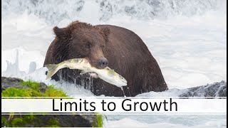 Limits to Growth [upl. by Annodam977]