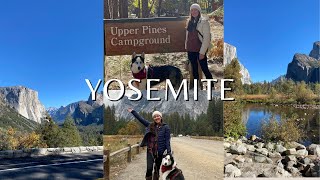 Firsttime at Yosemite National Park  Camping at Upper Pines Campground  Rainy Fall Camping [upl. by Yrret]