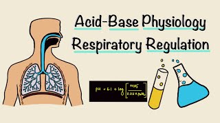 Acid Base Physiology  Part Two  Respiratory Regulation  Respiratory Physiology [upl. by Nylednarb]