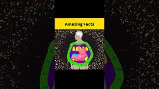 amazingfacts  NS99K  VIRAL SHORTS  FUNNY SHORTS [upl. by Sampson730]