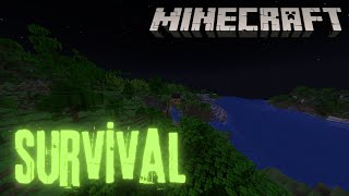 SURVİVAL 2GÜN  MİNECRAFT [upl. by Akinet]