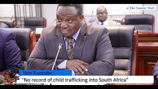 quotNo record of child trafficking into South Africaquot [upl. by Alohs]