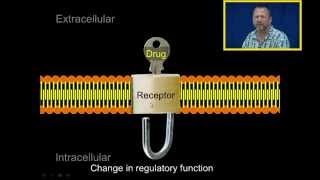 Introduction to Pharmacology [upl. by Annahsad751]